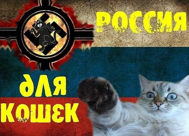 Россия для кошек (№2234)